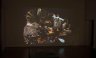 <i>Medicinal Plant Cycles</i> Time-lapse video projection. 16min. POA. - POP Gallery. Photo Matthew Lloyd